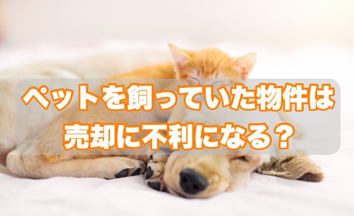 ペットを飼っていた物件は売却に不利になる？