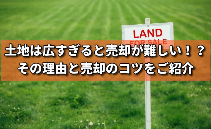 土地は広すぎると売却が難しい！？その理由と売却のコツをご紹介